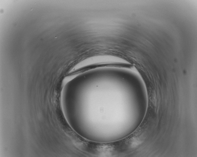 X0000073700319200608101820