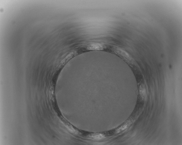 X0000073700322200608101820