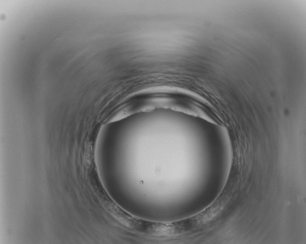 X0000073700325200608101820