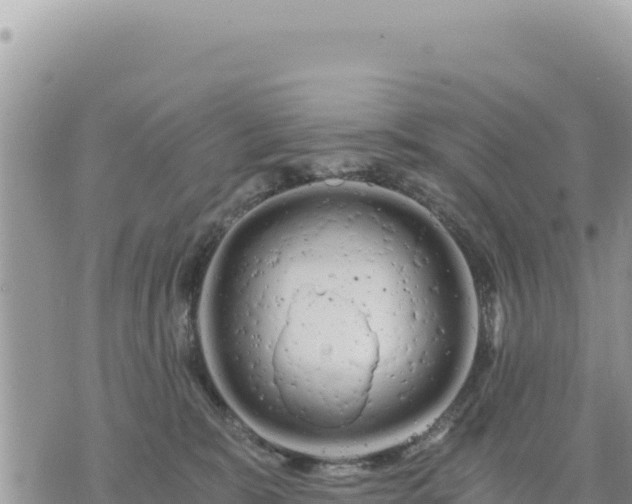 X0000073700327200608101820