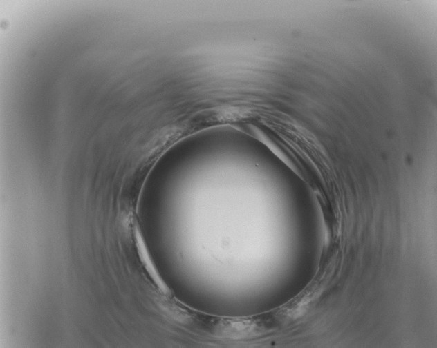 X0000073700329200608101820