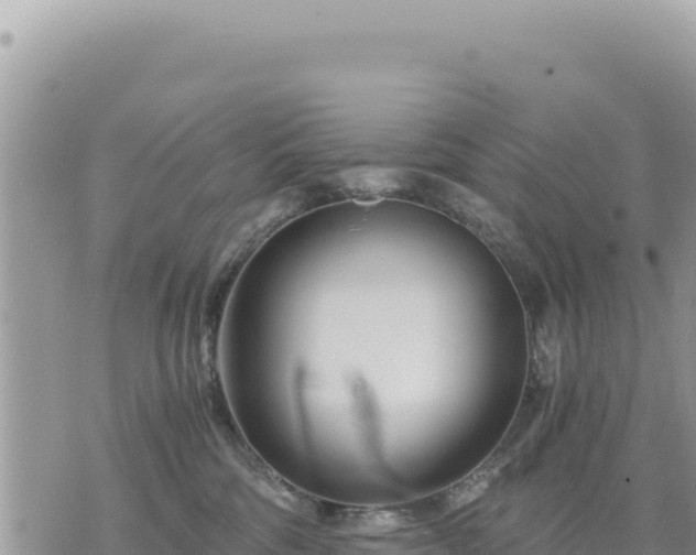 X0000073700330200608101820