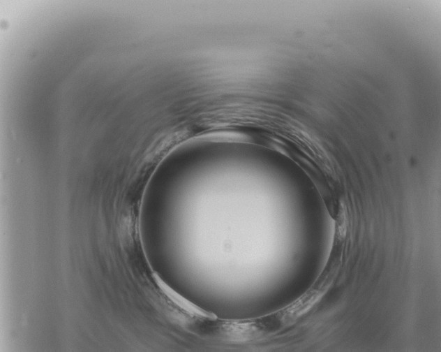 X0000073700333200608101820