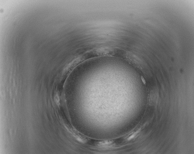 X0000073700335200608101820