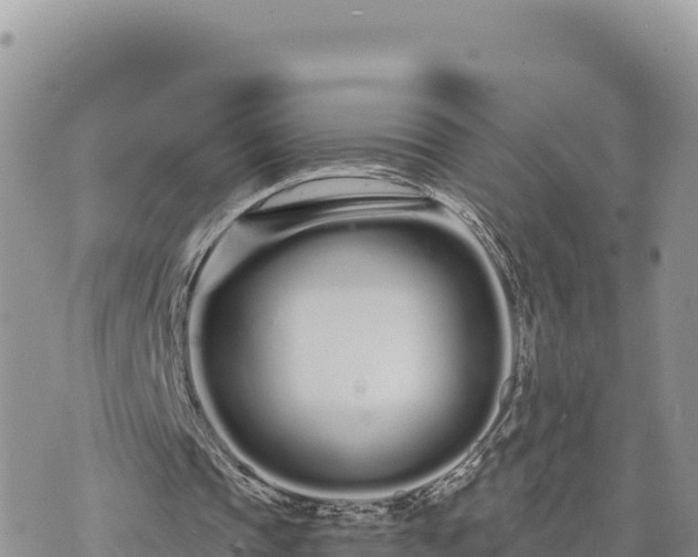 X0000073700337200608101819