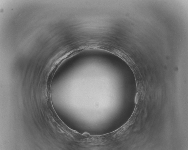 X0000073700338200608101819