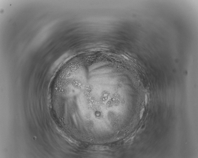 X0000073700339200608101819