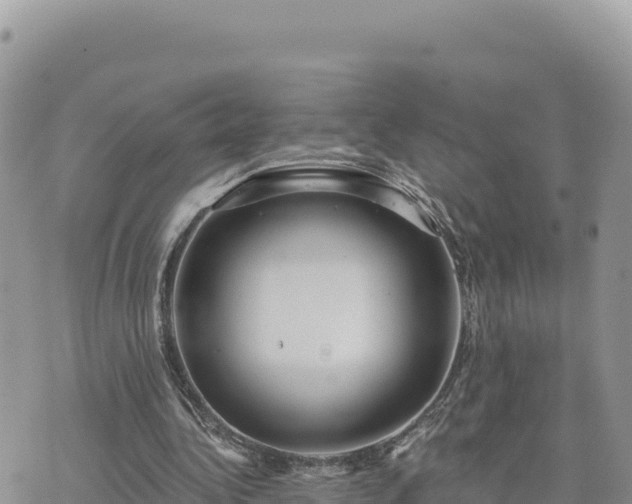 X0000073700340200608101819