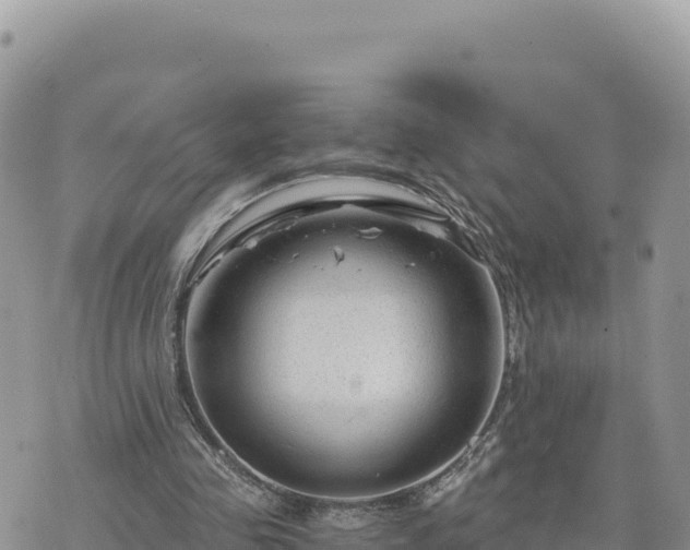 X0000073700341200608101819