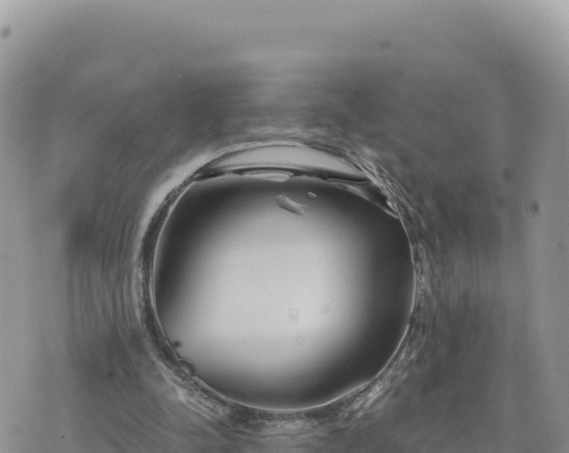 X0000073700342200608101819