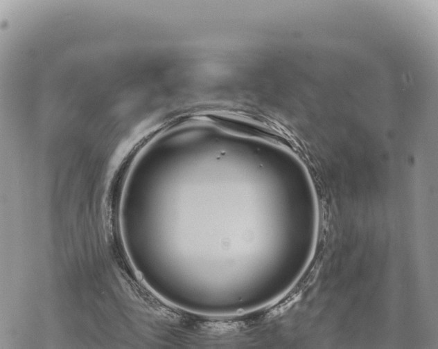 X0000073700343200608101819