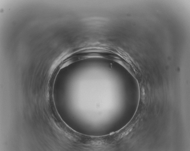 X0000073700344200608101819