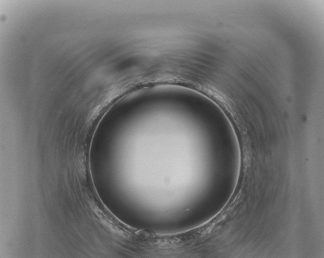 X0000073700345200608101819