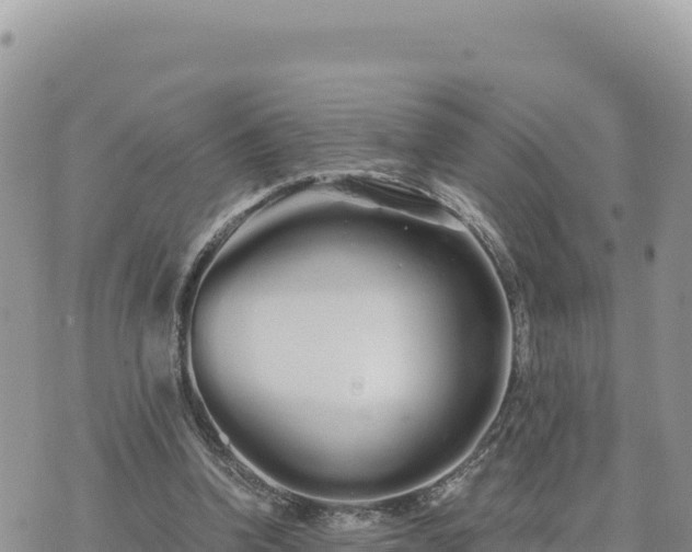 X0000073700346200608101819