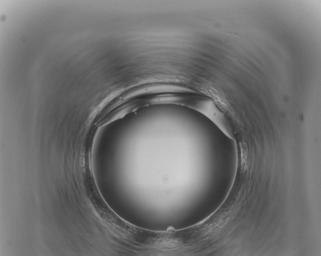 X0000073700348200608101819