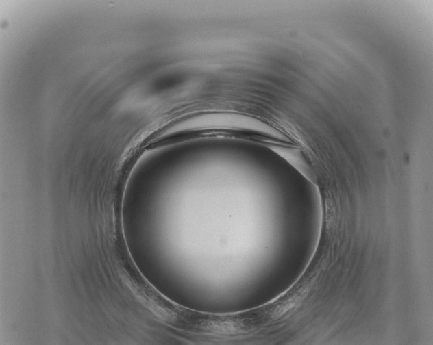 X0000073700349200608101819