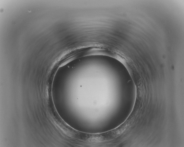 X0000073700350200608101819