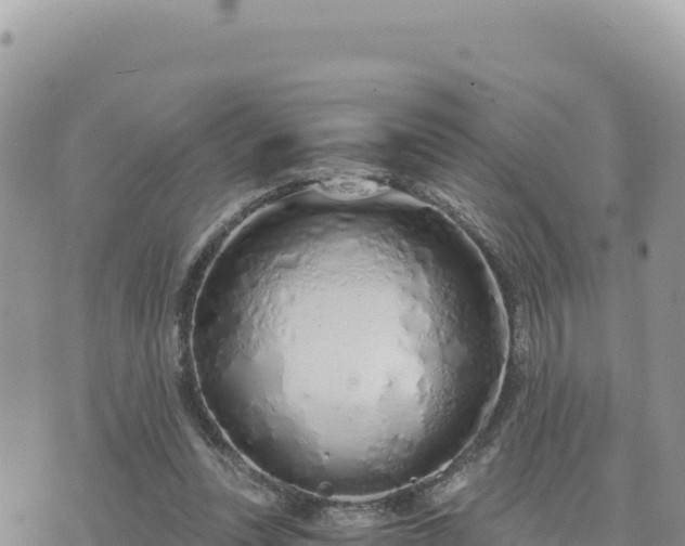 X0000073700351200608101819