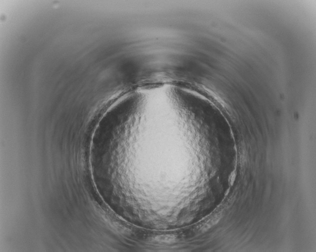 X0000073700353200608101819