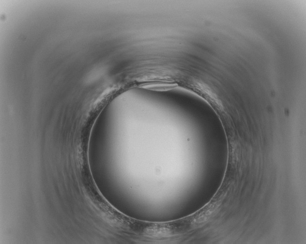 X0000073700354200608101819