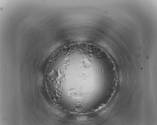 X0000073700355200608101819