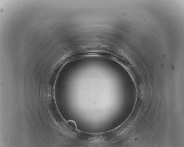 X0000073700356200608101819