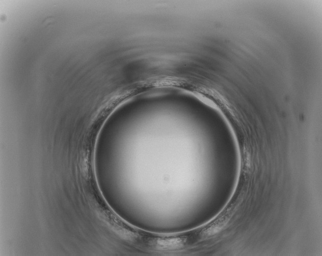 X0000073700357200608101819