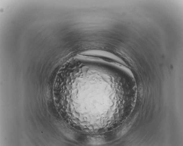 X0000073700359200608101819