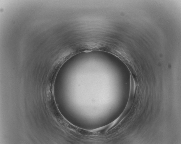 X0000073700360200608101819