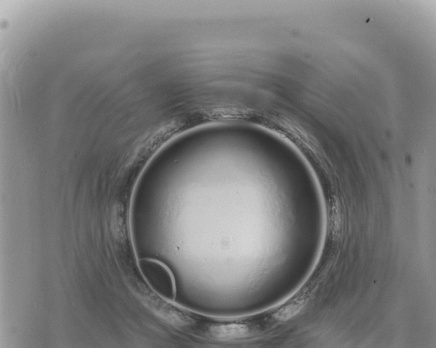 X0000073700361200608101819