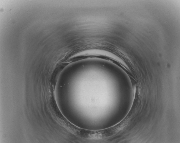 X0000073700362200608101819