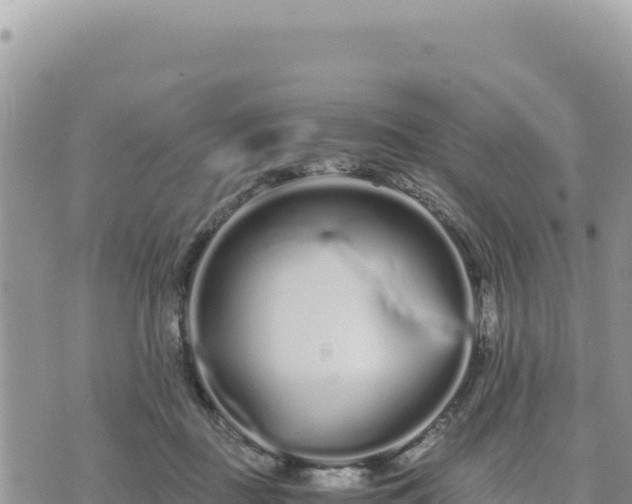 X0000073700363200608101819