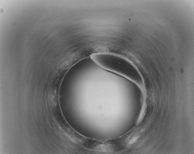 X0000073700364200608101819