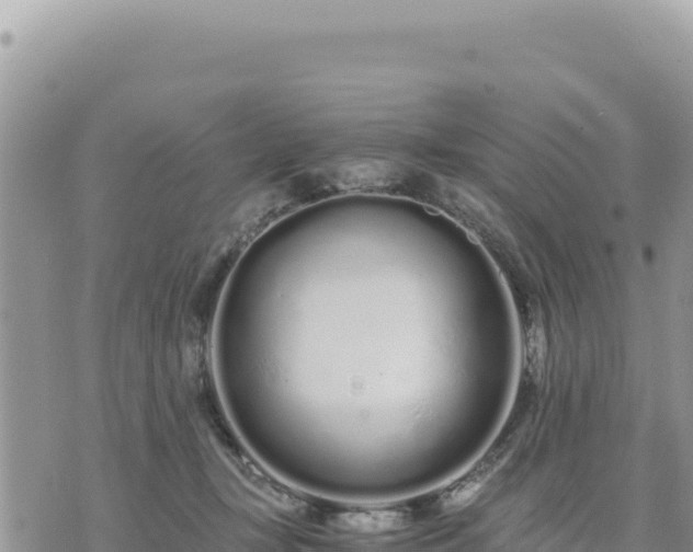 X0000073700367200608101819