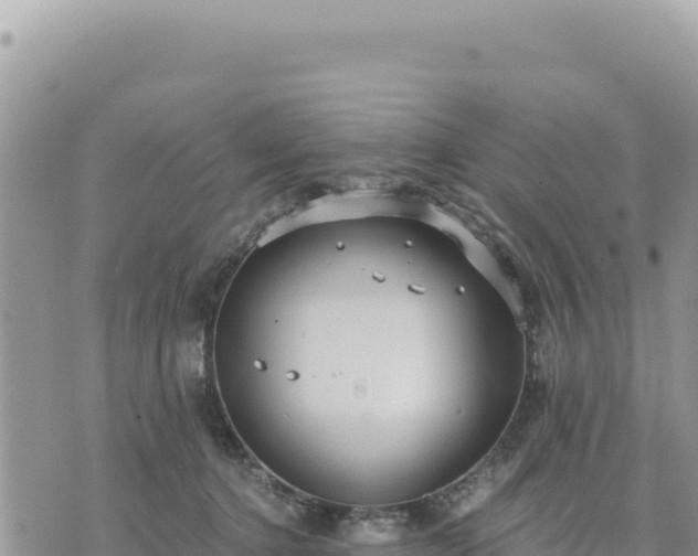 X0000073700368200608101819