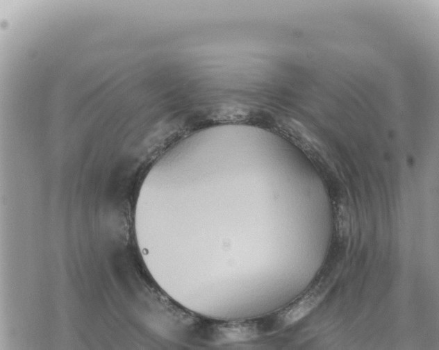 X0000073700370200608101819