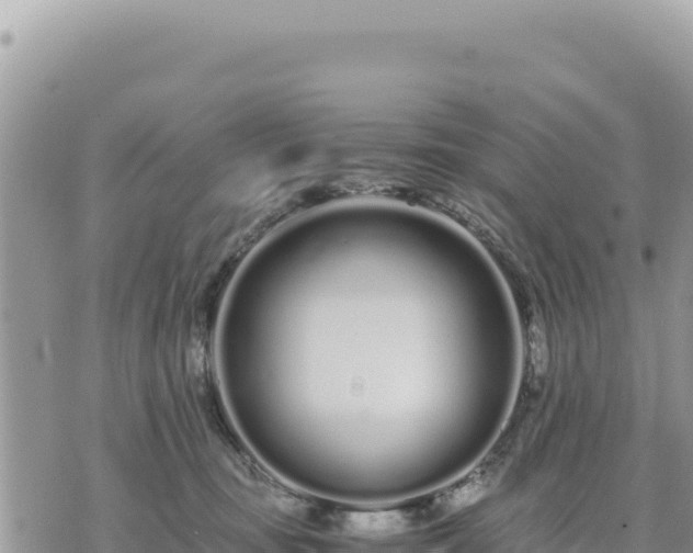 X0000073700371200608101819