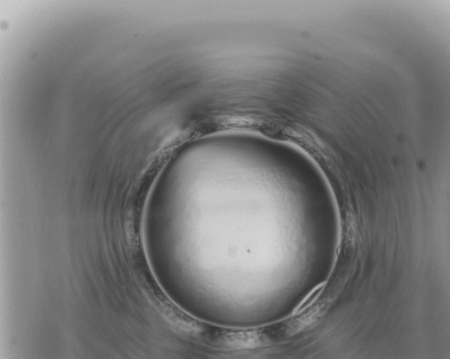 X0000073700377200608101820