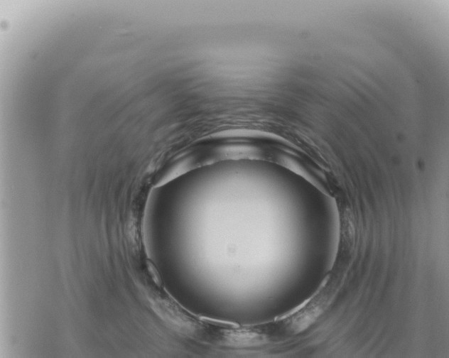 X0000073700380200608101820