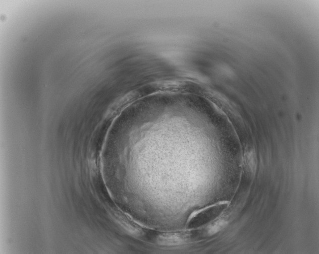 X0000073700381200608101820