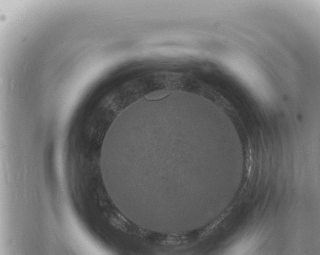 X0000073700383200608101820