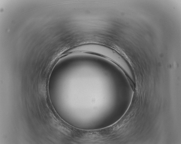 X0000073700386200608101819