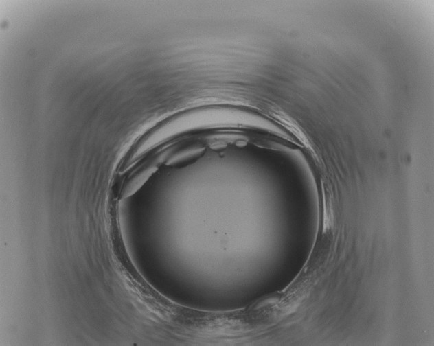 X0000073700387200608101819