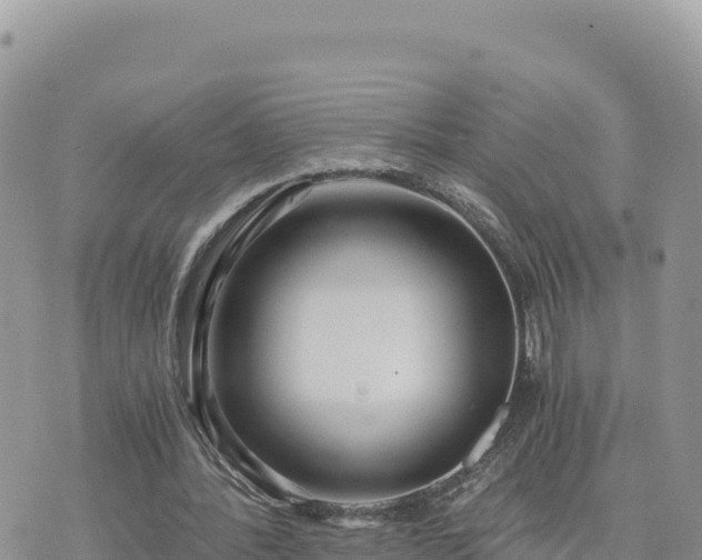 X0000073700388200608101819