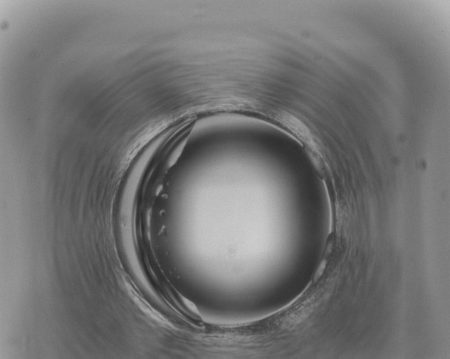 X0000073700389200608101819