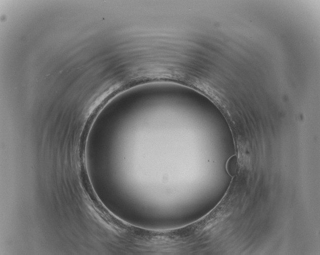 X0000073700390200608101819