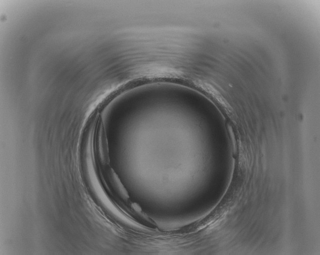 X0000073700391200608101819