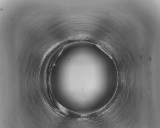 X0000073700392200608101819