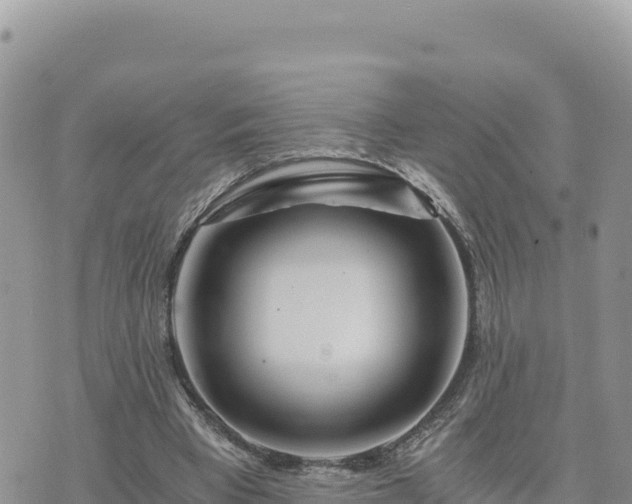 X0000073700393200608101819