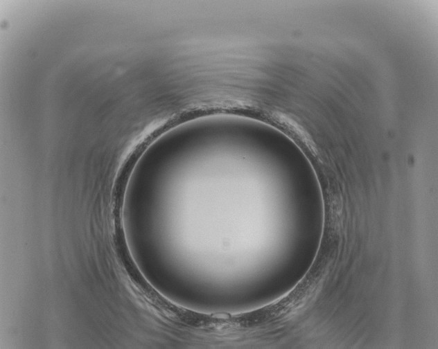 X0000073700395200608101819